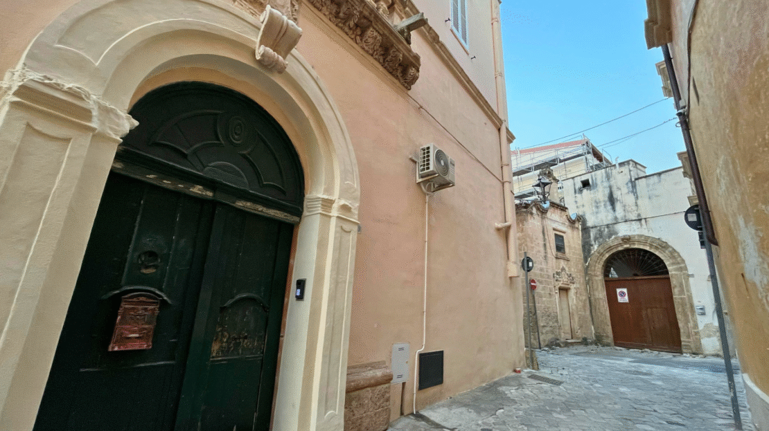 video image